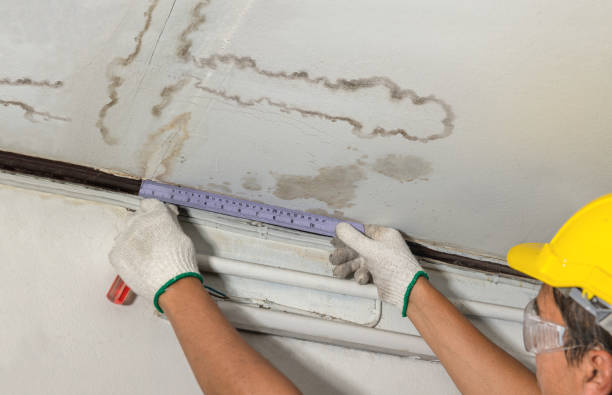 Reliable Basement Water Removal contractor in Clarksville, TN by Water Damage Irwin